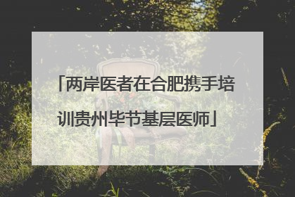 两岸医者在合肥携手培训贵州毕节基层医师