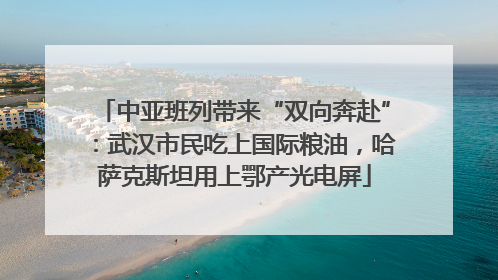 中亚班列带来“双向奔赴”：武汉市民吃上国际粮油，哈萨克斯坦用上鄂产光电屏