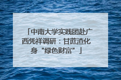 中南大学实践团赴广西凭祥调研：甘蔗渣化身“绿色财富”