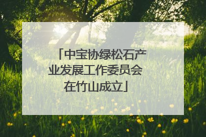 中宝协绿松石产业发展工作委员会在竹山成立