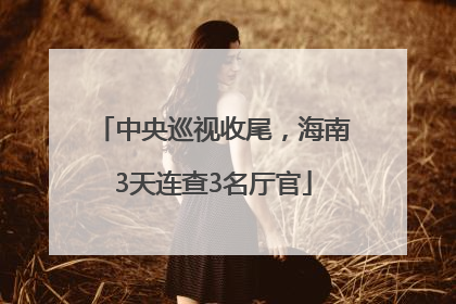 中央巡视收尾，海南3天连查3名厅官
