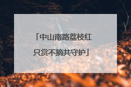 中山南路荔枝红 只赏不摘共守护