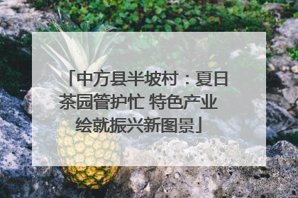 中方县半坡村：夏日茶园管护忙 特色产业绘就振兴新图景
