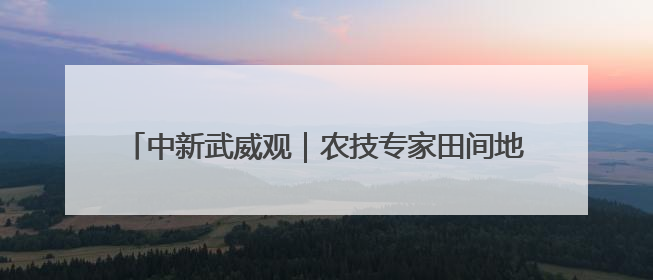 中新武威观｜农技专家田间地头“把脉开方”送“及时雨”
