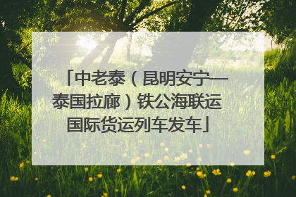 中老泰（昆明安宁—泰国拉廊）铁公海联运国际货运列车发车