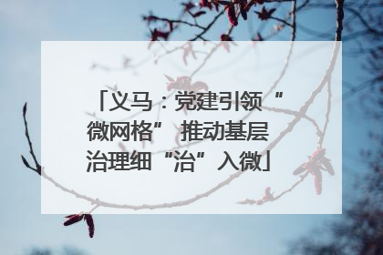 义马：党建引领“微网格” 推动基层治理细“治”入微