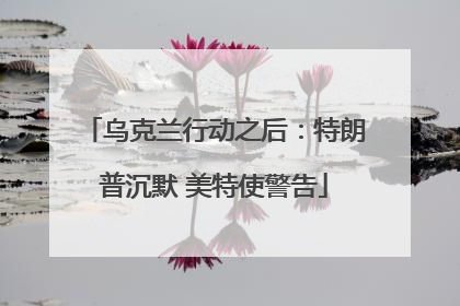 乌克兰行动之后：特朗普沉默 美特使警告