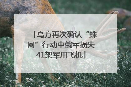 乌方再次确认“蛛网”行动中俄军损失41架军用飞机