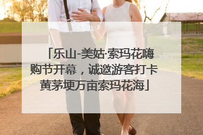 乐山-美姑·索玛花嗨购节开幕，诚邀游客打卡黄茅埂万亩索玛花海