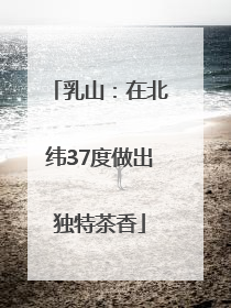 乳山：在北纬37度做出独特茶香