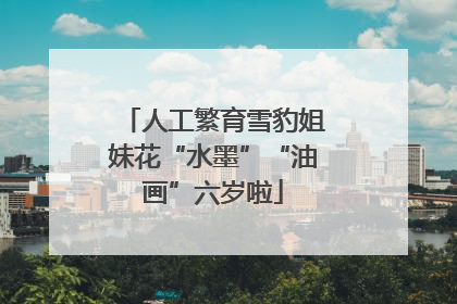 人工繁育雪豹姐妹花“水墨”“油画”六岁啦