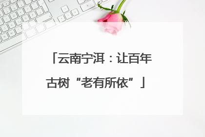 云南宁洱：让百年古树“老有所依”