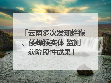 云南多次发现蜂猴、倭蜂猴实体 监测获阶段性成果