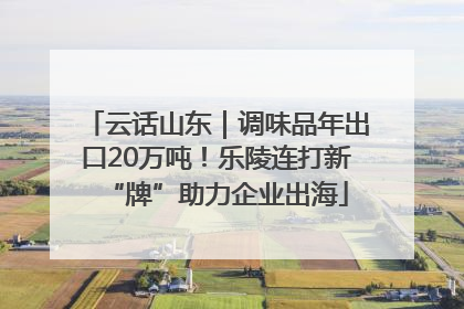 云话山东｜调味品年出口20万吨！乐陵连打新“牌”助力企业出海