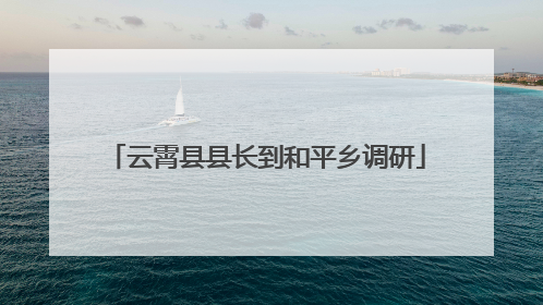 云霄县县长到和平乡调研