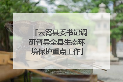 云霄县委书记调研督导全县生态环境保护重点工作