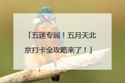 五迷专属！五月天北京打卡全攻略来了！