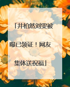 井柏然刘雯被曝已领证！网友集体送祝福