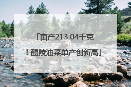 亩产213.04千克！醴陵油菜单产创新高