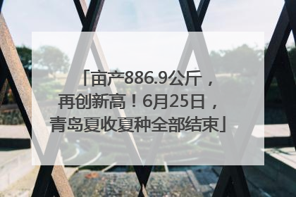 亩产886.9公斤，再创新高！6月25日，青岛夏收夏种全部结束