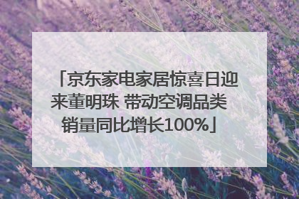 京东家电家居惊喜日迎来董明珠 带动空调品类销量同比增长100%