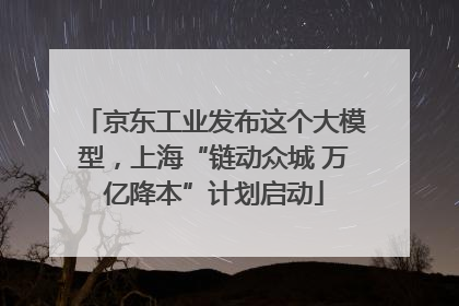 京东工业发布这个大模型，上海“链动众城 万亿降本”计划启动