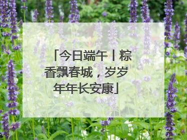 今日端午丨粽香飘春城，岁岁年年长安康