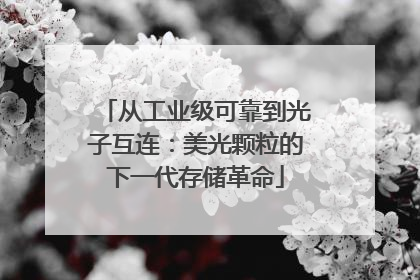 从工业级可靠到光子互连：美光颗粒的下一代存储革命