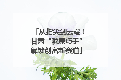 从指尖到云端！甘肃“陇原巧手”解锁创富新赛道