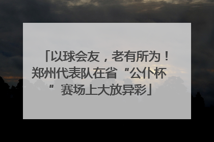 以球会友，老有所为！郑州代表队在省“公仆杯”赛场上大放异彩