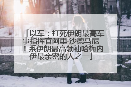 以军：打死伊朗最高军事指挥官阿里·沙德马尼！系伊朗最高领袖哈梅内伊最亲密的人之一