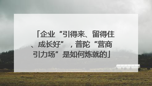 企业“引得来、留得住、成长好”，普陀“营商引力场”是如何炼就的