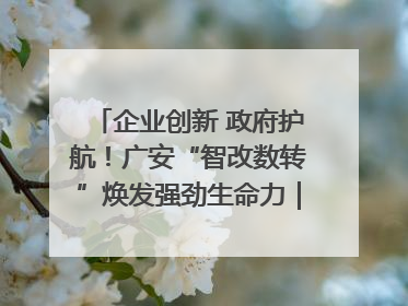 企业创新 政府护航！广安“智改数转”焕发强劲生命力｜市州焕新力