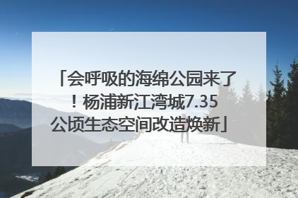 会呼吸的海绵公园来了！杨浦新江湾城7.35公顷生态空间改造焕新