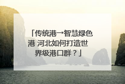 传统港→智慧绿色港 河北如何打造世界级港口群？