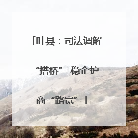 叶县：司法调解“搭桥” 稳企护商“路宽”