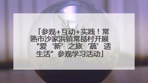 参观+互动+实践！常熟市沙家浜镇常昆村开展“爱‘新’之旅‘蔬’适生活”参观学习活动
