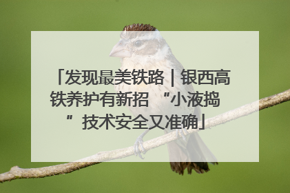 发现最美铁路｜银西高铁养护有新招 “小液捣”技术安全又准确