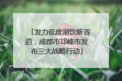 发力低度潮饮新赛道，成都市邛崃市发布三大战略行动