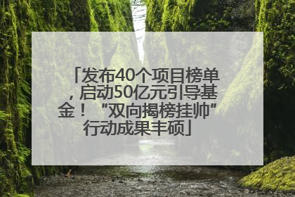 发布40个项目榜单，启动50亿元引导基金！“双向揭榜挂帅”行动成果丰硕
