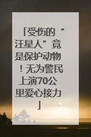 受伤的“汪星人”竟是保护动物！无为警民上演70公里爱心接力