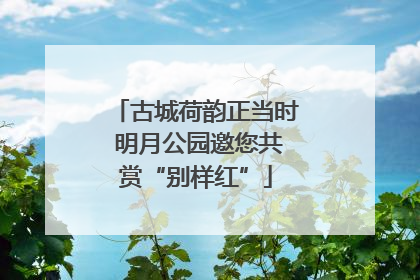 古城荷韵正当时 明月公园邀您共赏“别样红”
