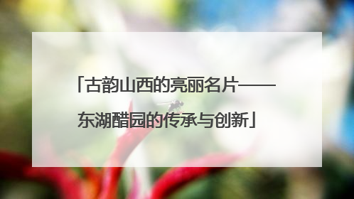 古韵山西的亮丽名片——东湖醋园的传承与创新