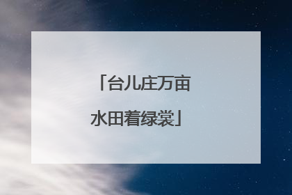 台儿庄万亩水田着绿裳