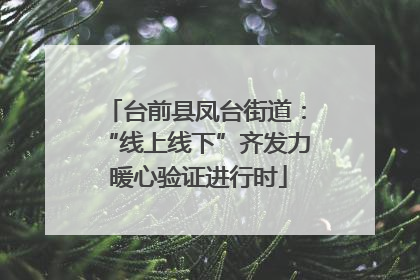 台前县凤台街道：“线上线下”齐发力 暖心验证进行时