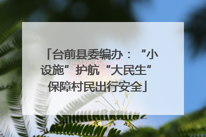 台前县委编办：“小设施”护航“大民生” 保障村民出行安全