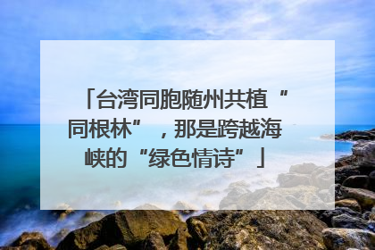 台湾同胞随州共植“同根林”，那是跨越海峡的“绿色情诗”