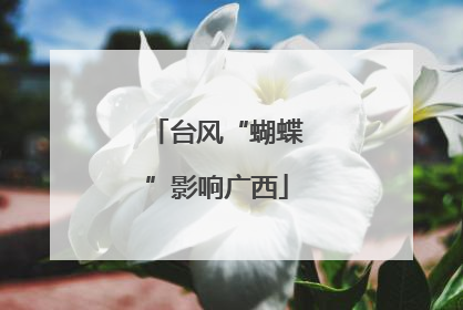 台风“蝴蝶”影响广西