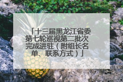 十三届黑龙江省委第七轮巡视第二批次完成进驻（附组长名单、联系方式）