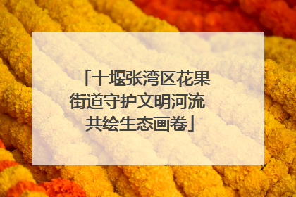 十堰张湾区花果街道守护文明河流 共绘生态画卷